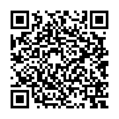 QR code for IV40293