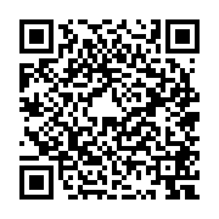 QR code for IV52481