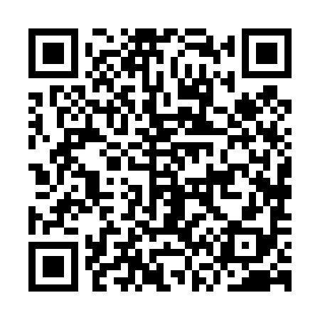 QR code for IV8498