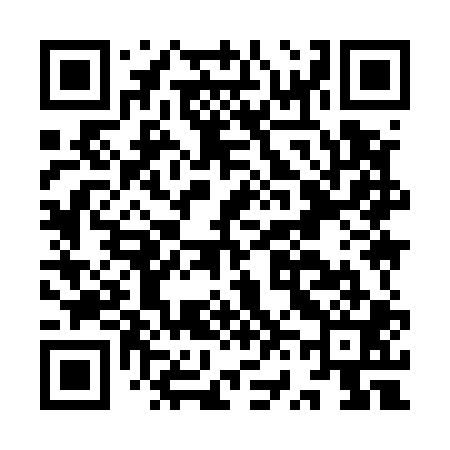 QR code for IV9501