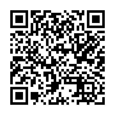 QR code for IWI393