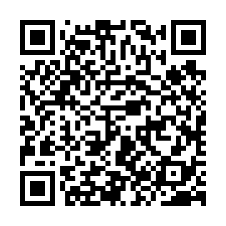 QR code for IZ2638