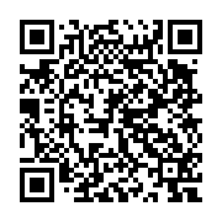 QR code for IZ3413