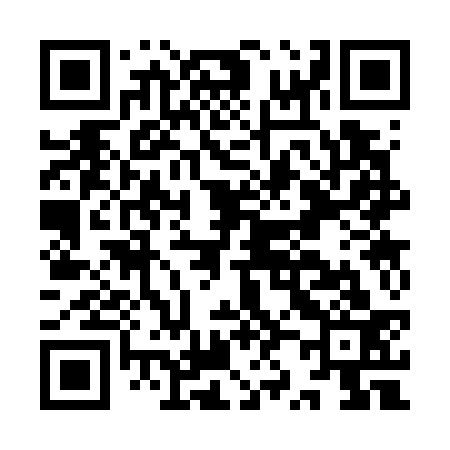 QR code for IZ3733