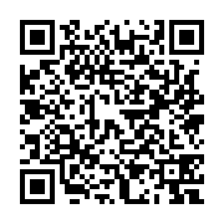 QR code for JA11385