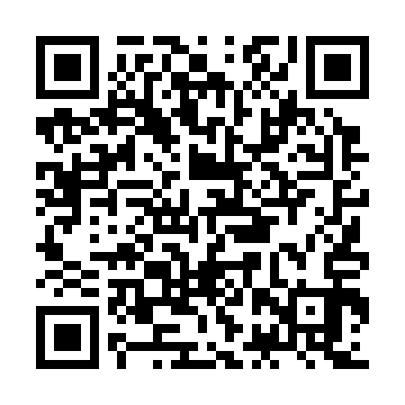 QR code for JBT313