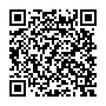 QR code for JDJ541