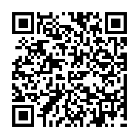 QR code for JGF333