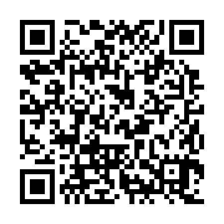 QR code for JIR385