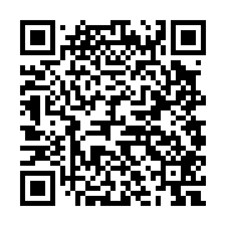 QR code for JLV009