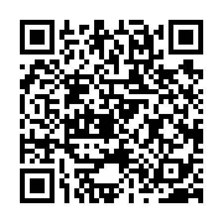 QR code for JP06393