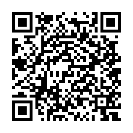 QR code for JP20529