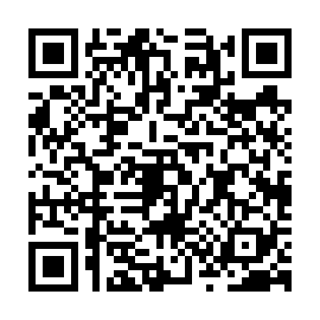QR code for JS06295