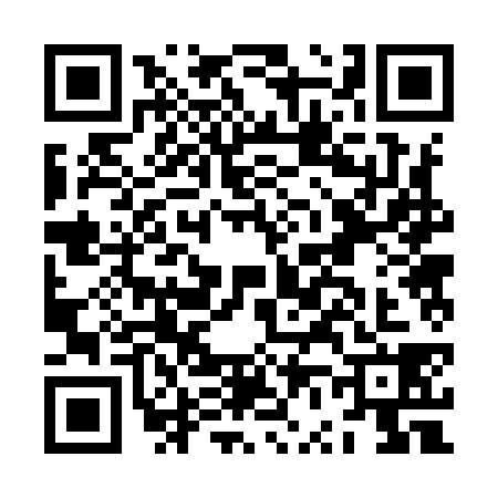 QR code for JV29385