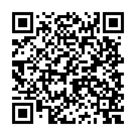 QR code for JVT541