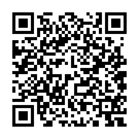 QR code for K063141