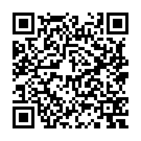 QR code for K398764