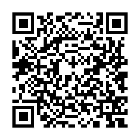 QR code for K449377