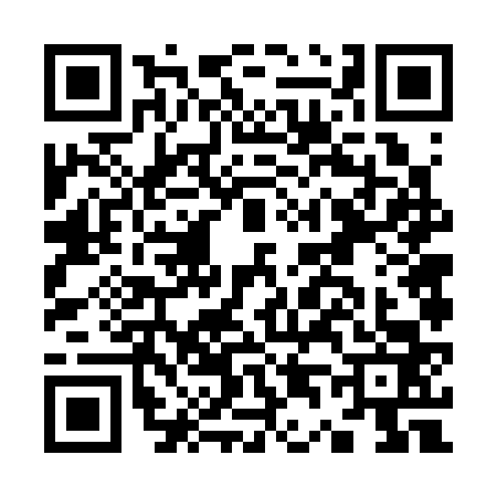QR code for K463633