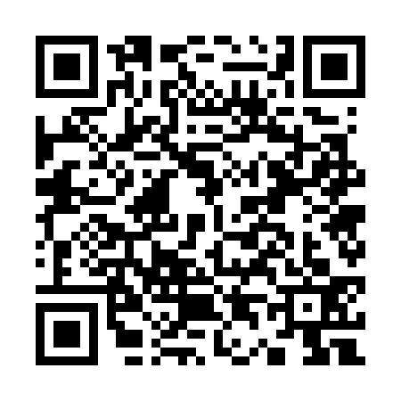 QR code for K477338
