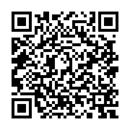 QR code for K490538