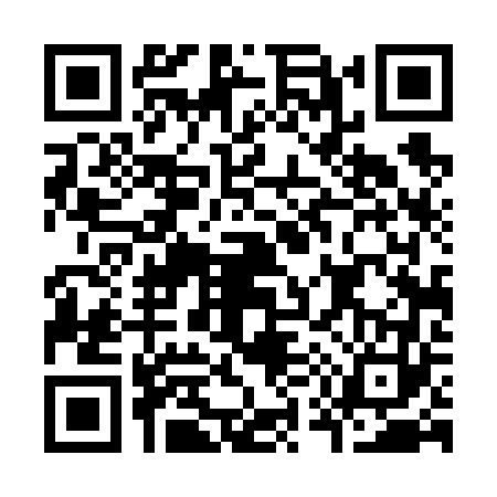QR code for K546636