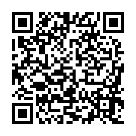 QR code for K599977