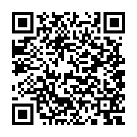 QR code for K665533