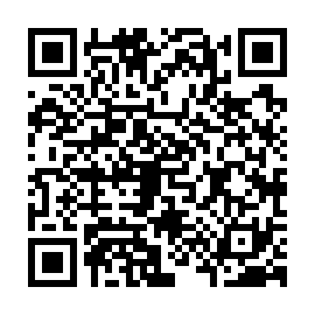 QR code for K687313