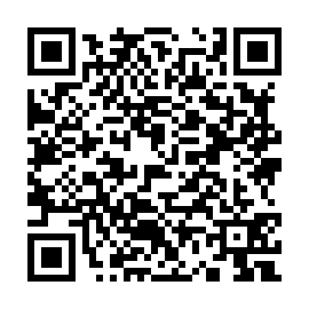 QR code for K698313