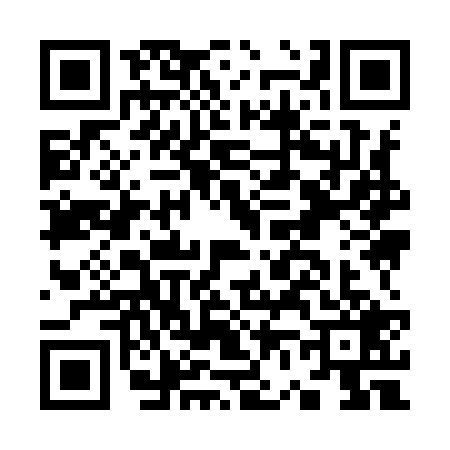 QR code for K699295