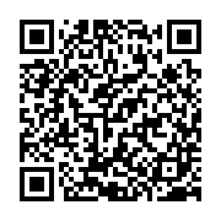 QR code for K85383