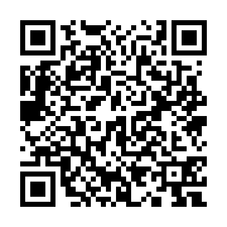 QR code for K917305