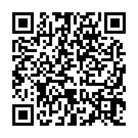 QR code for K919028