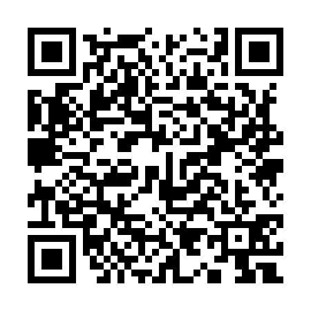 QR code for K919316