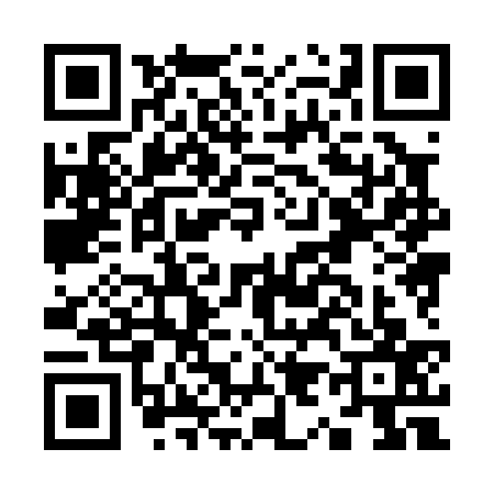 QR code for K980376