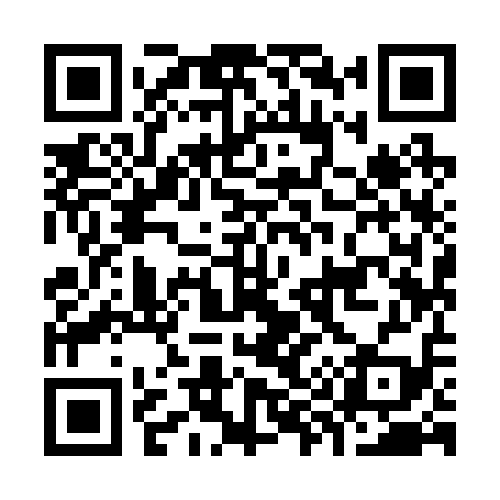 QR code for K99219