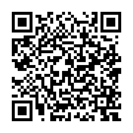 QR code for KN87450