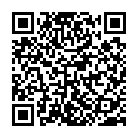 QR code for KRG729
