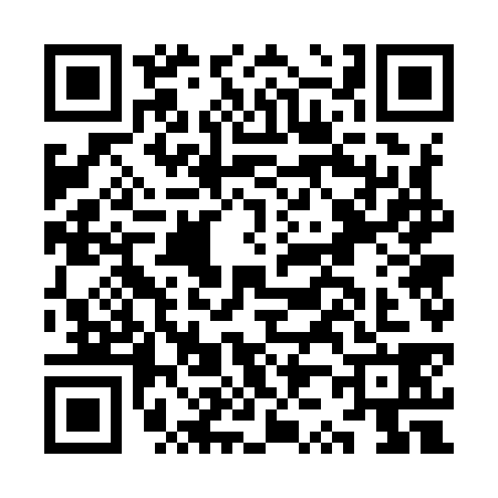 QR code for KZ79384