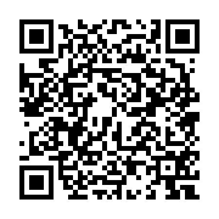 QR code for L006540