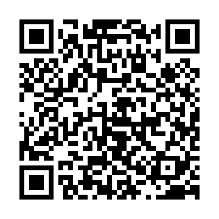 QR code for L01029