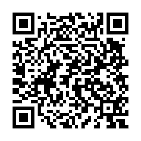 QR code for L02411