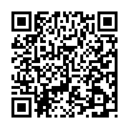 QR code for L028976