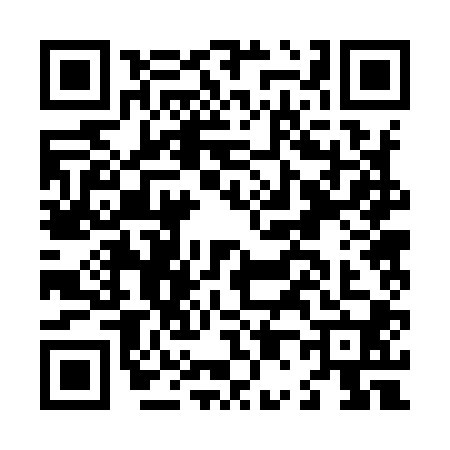 QR code for L029009