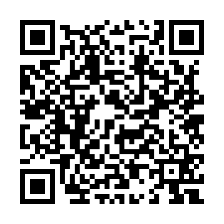 QR code for L029613
