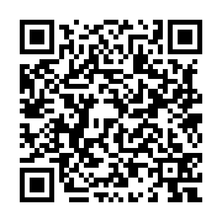 QR code for L038331