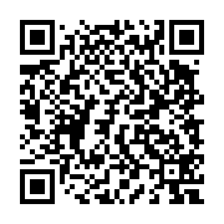 QR code for L04419