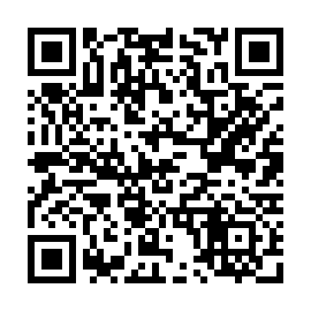 QR code for L06133