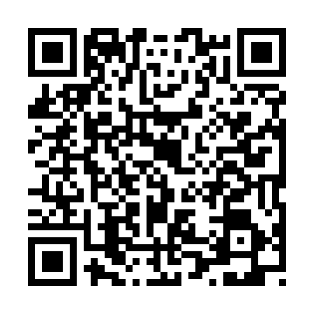 QR code for L095561